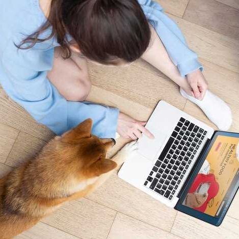 Научись зарабатывать деньги с помощью партнерских соглашений с ведущими брендами для домашних животных